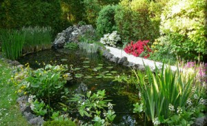 Bassin avec fontaine