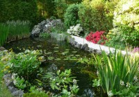 Bassin avec fontaine